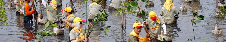 People in yellow DHL caps planting trees.