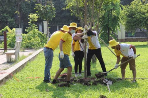 Eine Gruppe Personen in gelben DHL Hüten pflanzen einen Baum. 